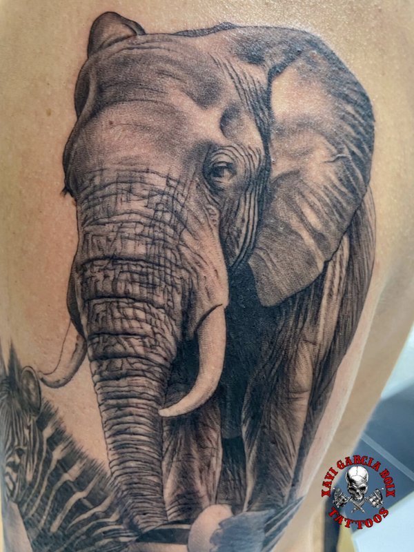Tatuaje realista de Elefante africano en Valencia por Xavi García Boix