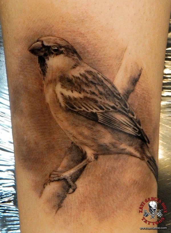 Tatuaje realista de Gorrión en Valencia por Xavi García Boix