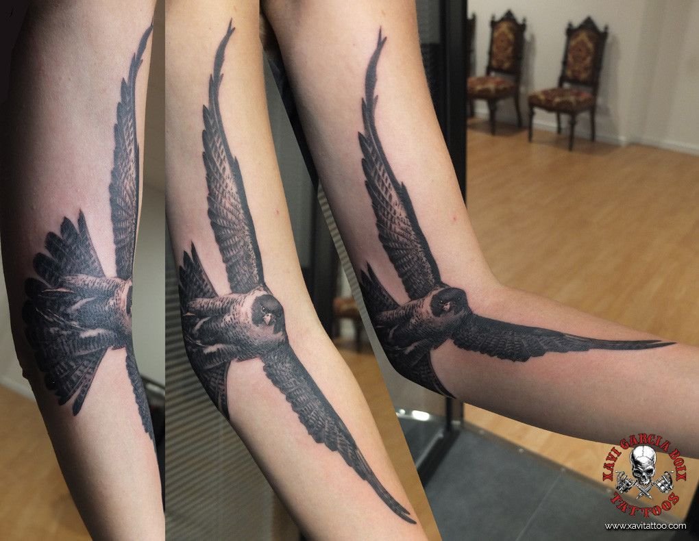 Tatuaje realista: halcón en vuelo con las alas desplegadas, por Xavi García Boix en Valencia