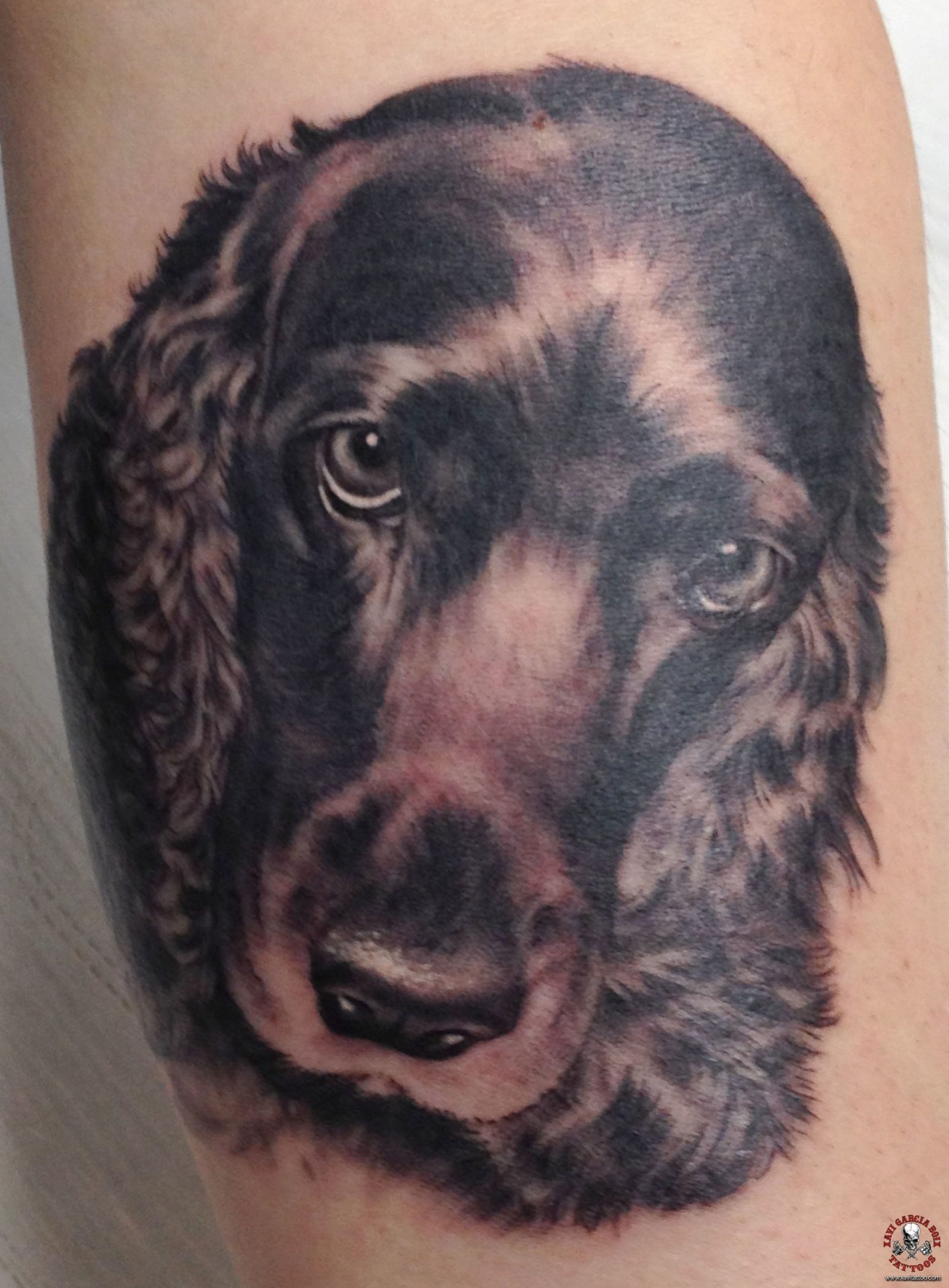 Tatuaje realista de Milú (perro) en Valencia por Xavi García Boix