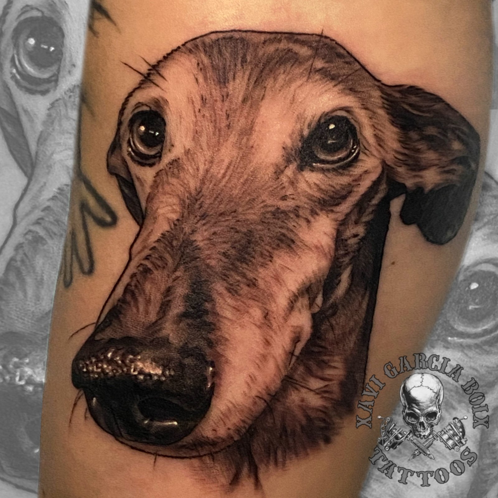Tatuaje realista de Perro (II) en Valencia por Xavi García Boix