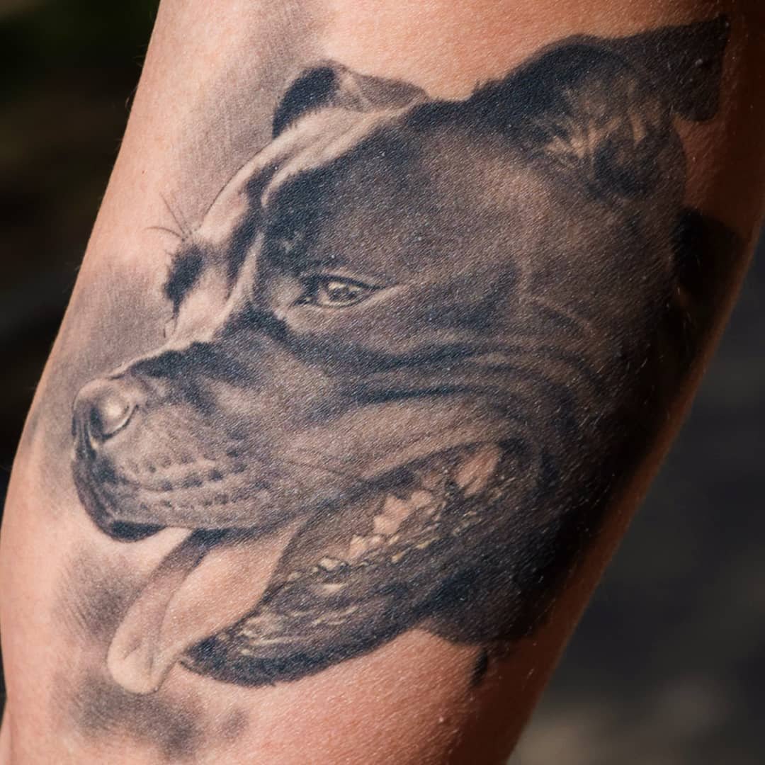 Tatuaje realista de Perro en Valencia por Xavi García Boix