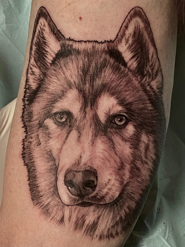 Tatuaje realista de perro husky, retrato de mascota en negro y gris, por Xavi García Boix en Valencia