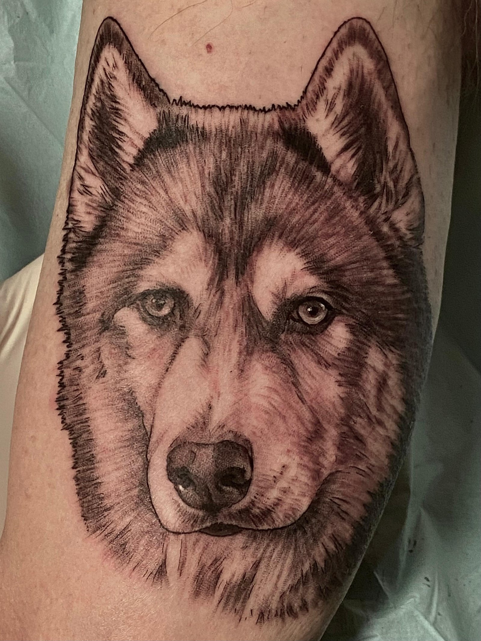 Tatuaje realista de perro husky, retrato de mascota en negro y gris, por Xavi García Boix en Valencia