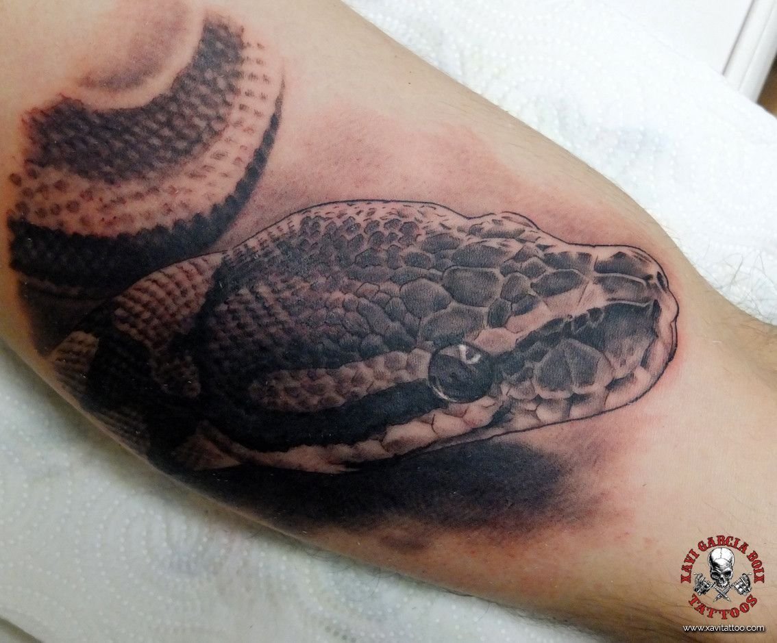 Tatuaje realista de Serpiente en Valencia por Xavi García Boix