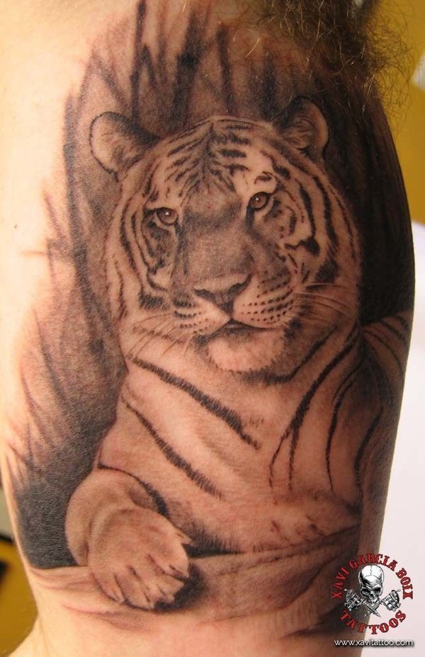 Tatuaje realista: tigre tumbado de frente, por Xavi García Boix en Valencia
