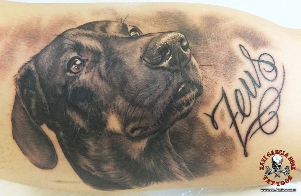 Tatuaje realista de Zeus (perro) en Valencia por Xavi García Boix