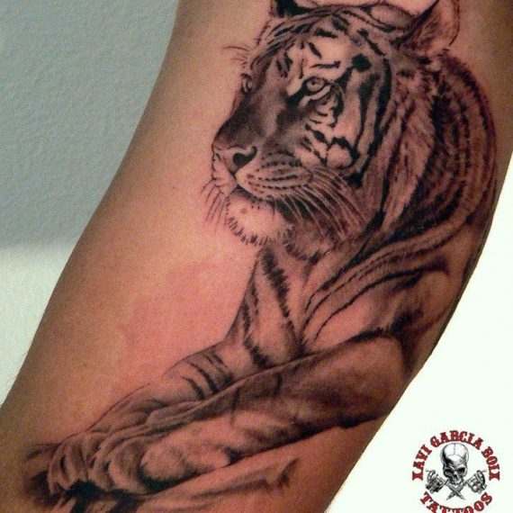 xavi garcia boix tattoo retrato realismo portrait realism tatuaje valencia diversos random tigre tiger nature naturaleza wild